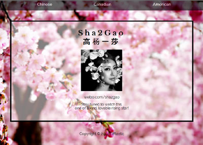 Sha2Gao portfolio site